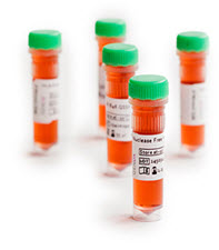 SBT excellerator® Supplement